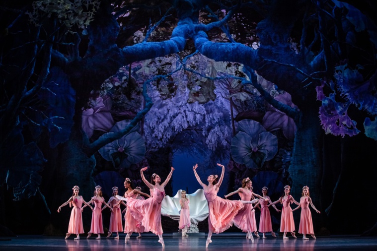 Le Songe d'une nuit d'été ©Agathe Poupeney - OnP 254 Le Songe d'une nuit d'été ©Agathe Poupeney - OnP 254