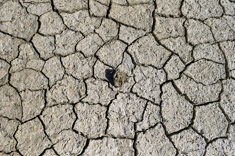 Crédit OSCAR DEL POZO / AFP Crédit OSCAR DEL POZO / AFP