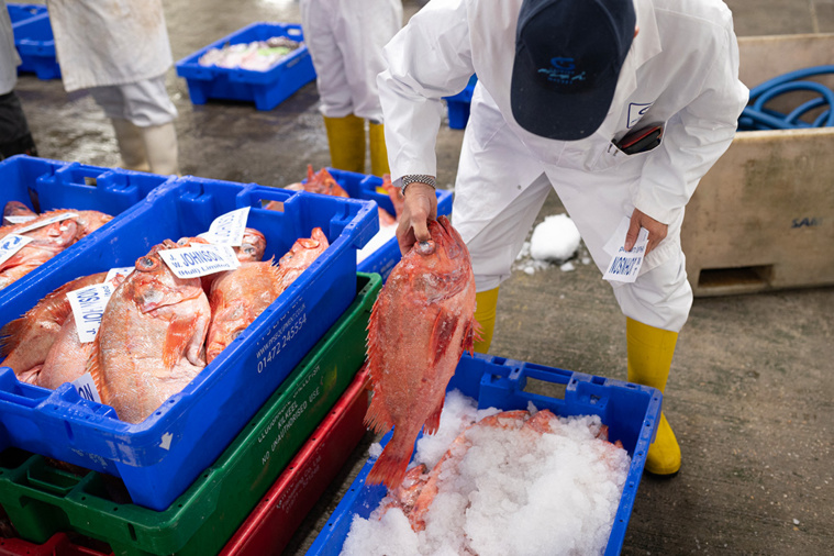 Oli SCARFF / AFP Oli SCARFF / AFP