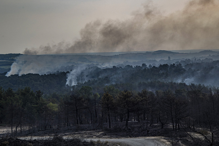 Crédit Nicolas Economou / AFP Crédit Nicolas Economou / AFP
