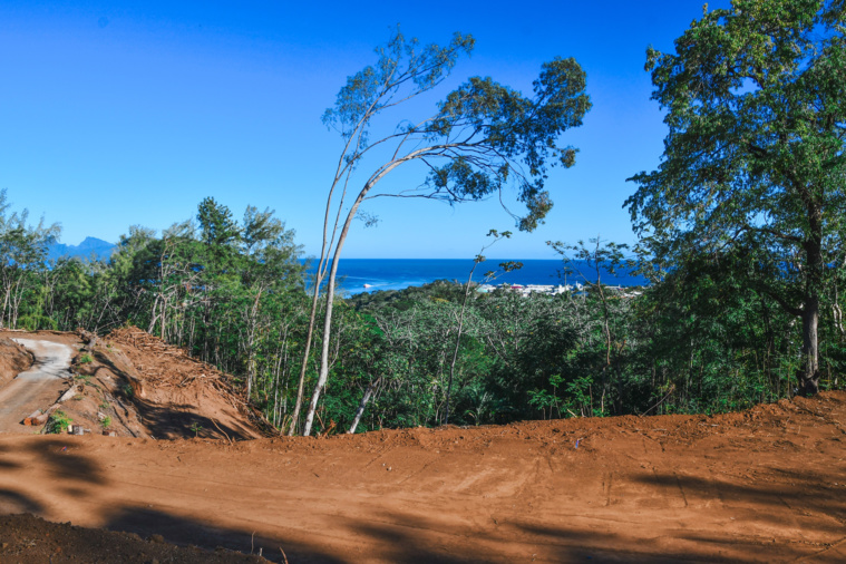 Pour dégager le panorama, le promoteur n'a pas hésité à demander à ses voisins de procéder à quelques abattages. . Pour dégager le panorama, le promoteur n'a pas hésité à demander à ses voisins de procéder à quelques abattages. .