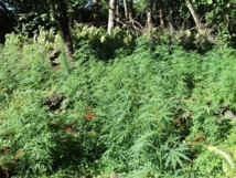 Photo d'illustration Photo d'illustration