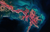 Des sortes de "nano-drones" pourraient combattre le cholestérol dans le sang Des sortes de "nano-drones" pourraient combattre le cholestérol dans le sang