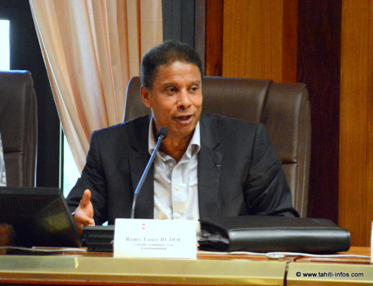 Rémy-Louis Budoc répond aux questions des membres du CESC