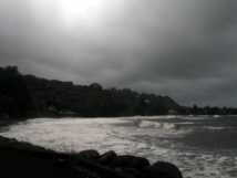 Leptospirose : quatre nouveaux cas en deux semaines Leptospirose : quatre nouveaux cas en deux semaines