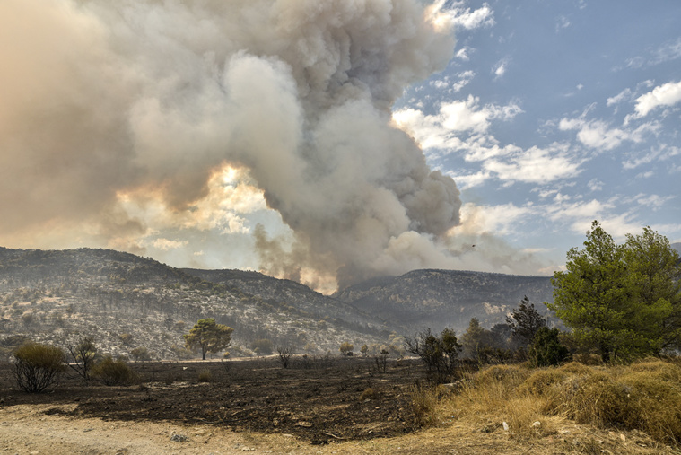 Crédit Spyros BAKALIS / AFP