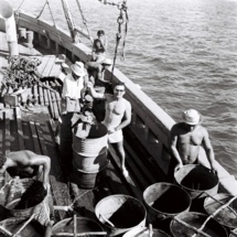 Avant-première du documentaire « Poe rava, histoire d’une perle », réalisé par Philippe Fréling