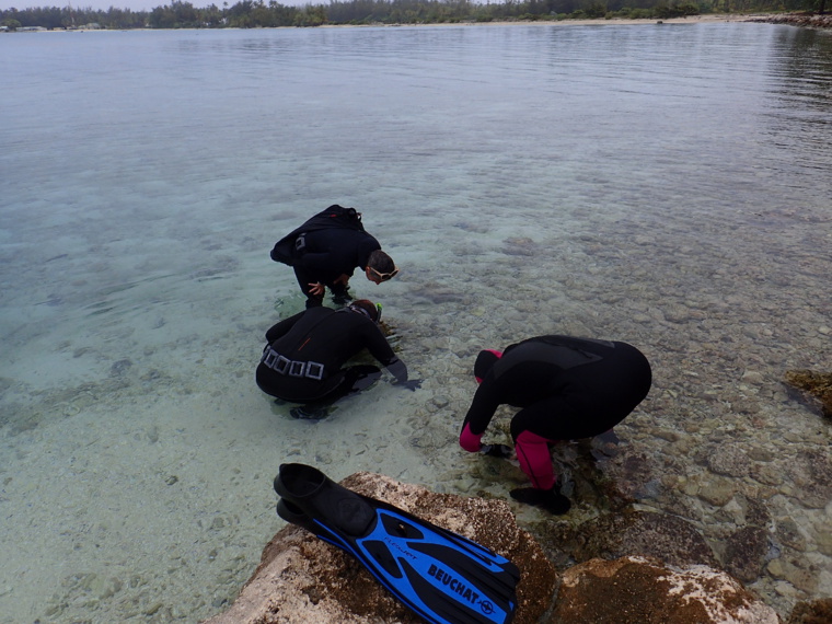 L’Antea au fenua pour un mois L’Antea au fenua pour un mois
