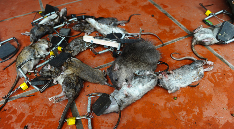 HOANG DINH NAM / AFP