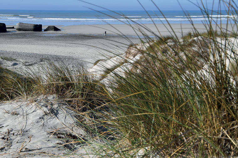 Crédit Fred TANNEAU / AFP Crédit Fred TANNEAU / AFP