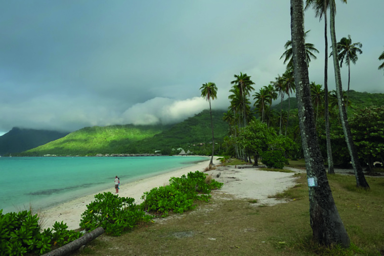 Le Pays abandonne le projet de rachat de la parcelle de Temae Le Pays abandonne le projet de rachat de la parcelle de Temae