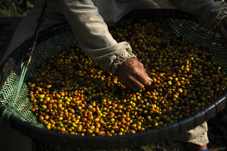 CARL DE SOUZA / AFP CARL DE SOUZA / AFP