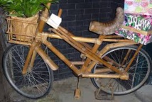Des vélos en bambou, vedettes d'un forum international en Colombie