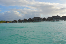 Bora Bora : Il se tue en plongeant sur une patate de corail