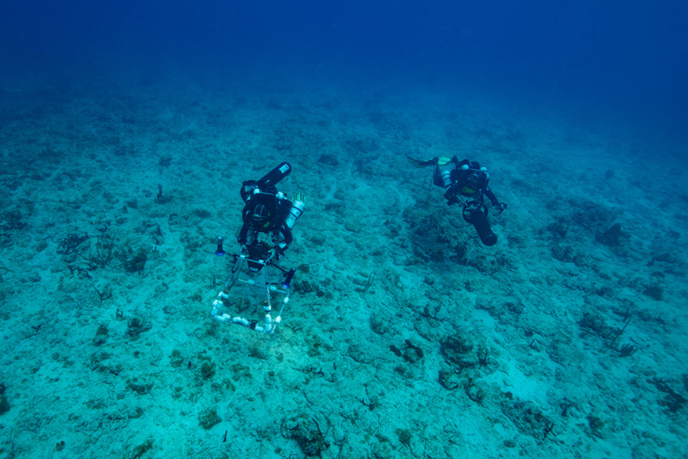 Crédit Olivier MORIN / AFP Crédit Olivier MORIN / AFP