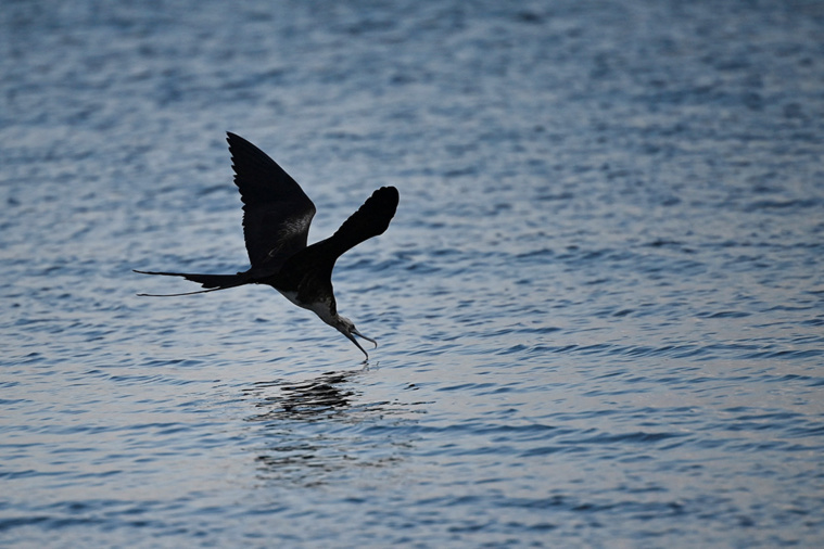 Luis ROBAYO / AFP Luis ROBAYO / AFP