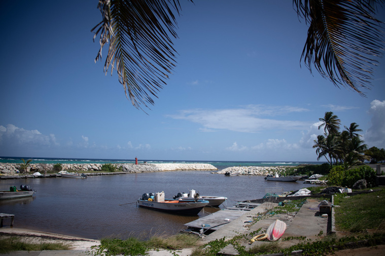 Crédit Olivier MORIN / AFP Crédit Olivier MORIN / AFP