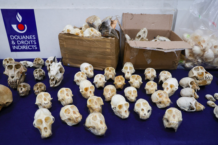 Geoffroy VAN DER HASSELT / AFP Geoffroy VAN DER HASSELT / AFP