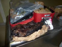 Pakistan: saisie record de viande de tortue illégale, destinée à la Chine Pakistan: saisie record de viande de tortue illégale, destinée à la Chine