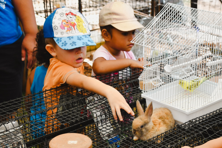 Les enfants sont ravis, ils peuvent approcher les animaux et même les toucher. Les enfants sont ravis, ils peuvent approcher les animaux et même les toucher.