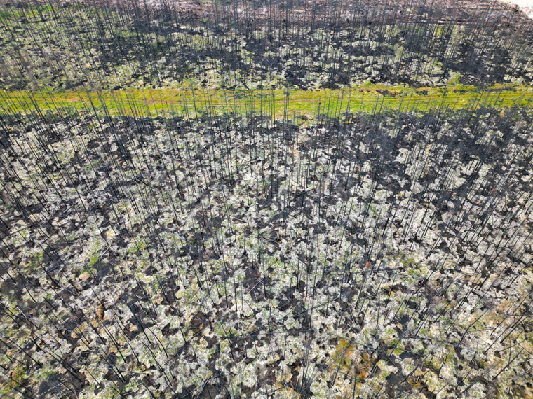 Mathiew LEISER / AFP Mathiew LEISER / AFP