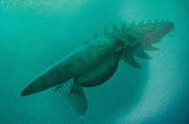 Découverte d'un monstre marin vivant il y a 480 millions d'années Découverte d'un monstre marin vivant il y a 480 millions d'années