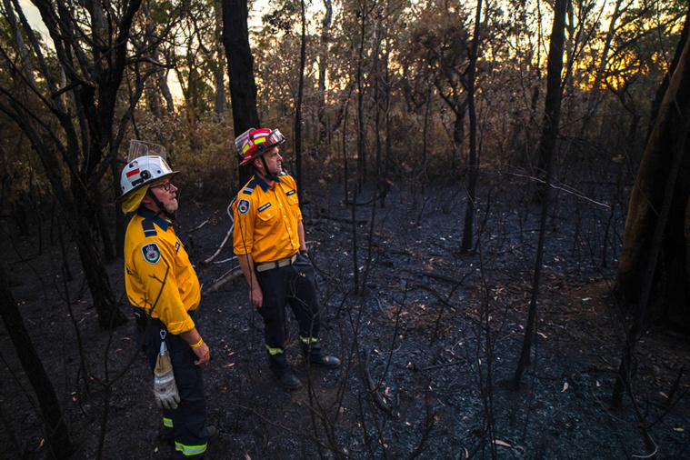 Crédit ANDREW LEESON / AFP Crédit ANDREW LEESON / AFP