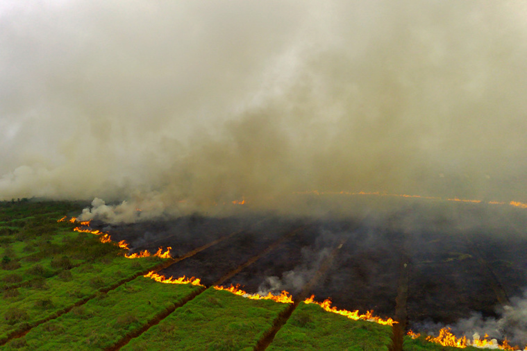 Crédit Al ZULKIFLI / AFP Crédit Al ZULKIFLI / AFP