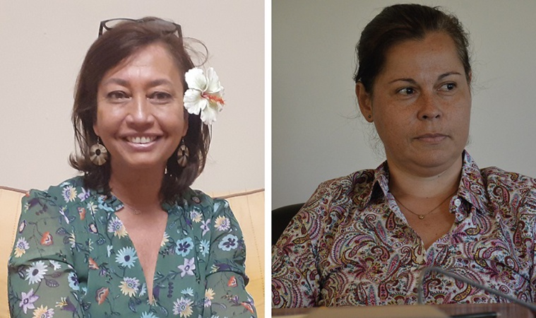 ONU : L'opposition Tapura et AHIP réagit ONU : L'opposition Tapura et AHIP réagit