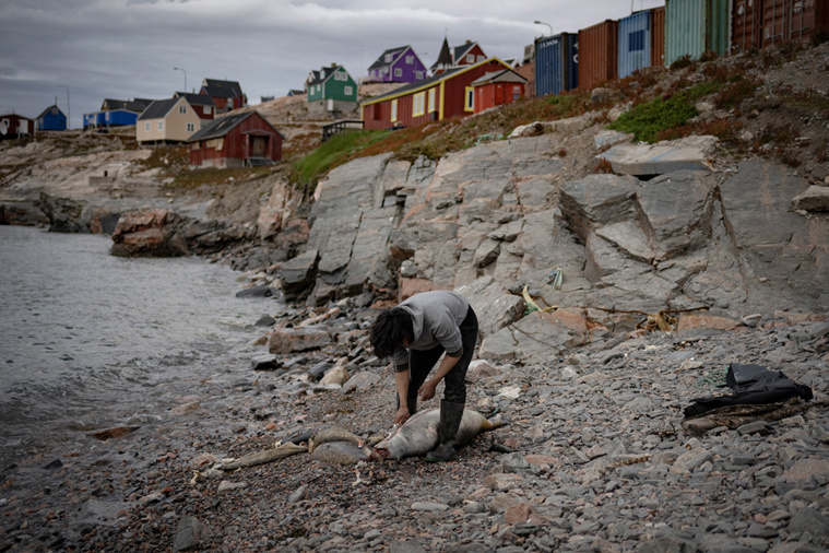 Crédit Olivier MORIN / AFP Crédit Olivier MORIN / AFP