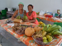 Festival du 'uru : Tout, vous saurez tout sur le 'uru Festival du 'uru : Tout, vous saurez tout sur le 'uru