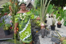 Festival du 'uru : Tout, vous saurez tout sur le 'uru Festival du 'uru : Tout, vous saurez tout sur le 'uru