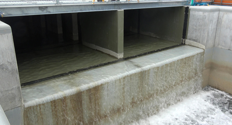 Handout / TOKYO ELECTRIC POWER COMPANY (TEPCO) / AFP Handout / TOKYO ELECTRIC POWER COMPANY (TEPCO) / AFP