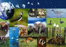 "La biodiversité est un capital à préserver, une source d'emplois" "La biodiversité est un capital à préserver, une source d'emplois"