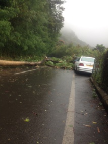 Un violent coup de vent provoque des dégâts à Tahiti et Moorea Un violent coup de vent provoque des dégâts à Tahiti et Moorea