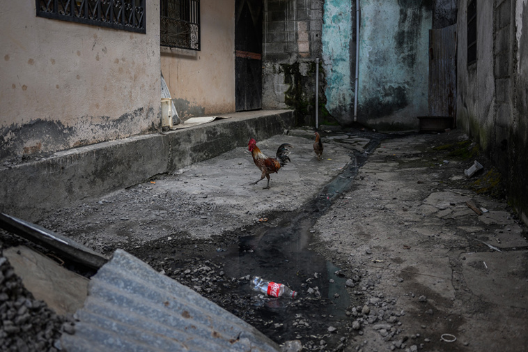 Crédit Philippe LOPEZ / AFP