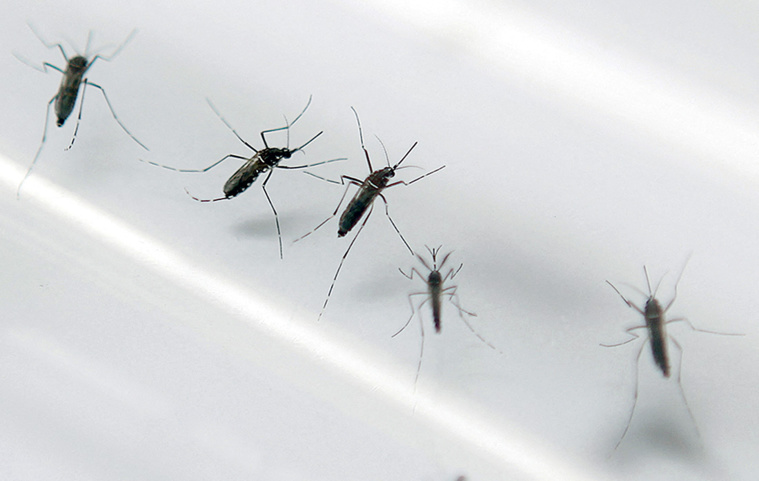 PATRICE COPPEE / AFP PATRICE COPPEE / AFP