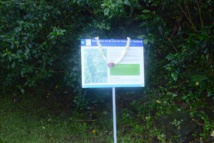 Randonnée: Suivez la voie de l'eau à la Fautaua