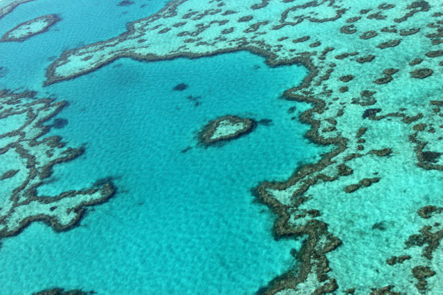 L'Australie présente un plan de préservation sur 35 ans de la Grande barrière de corail