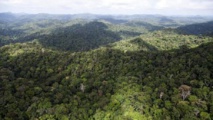 © AFP/Archives, Jody Amiet La forêt guyanaise, près de Dorlin © AFP/Archives, Jody Amiet La forêt guyanaise, près de Dorlin