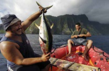 Le deuxième Forum de la mer se consacrera aux métiers de l'économie bleue Le deuxième Forum de la mer se consacrera aux métiers de l'économie bleue