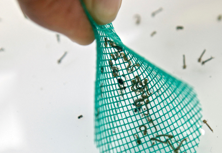 Crédit PATRICE COPPEE / AFP Crédit PATRICE COPPEE / AFP