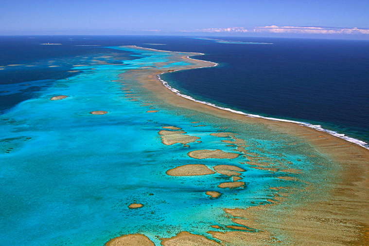 Crédit MARC LE CHELARD / AFP Crédit MARC LE CHELARD / AFP