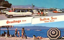 La Salton Sea, bombe à retardement écologique dans le désert de Californie