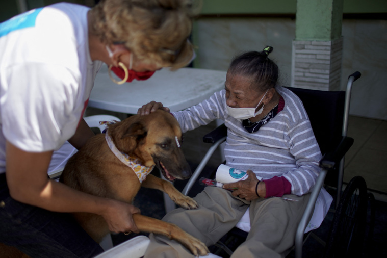 Les chiens visiteurs font l'unanimité dans l'Hexagone. (photo : AFP) Les chiens visiteurs font l'unanimité dans l'Hexagone. (photo : AFP)