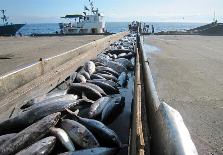 Crédit PAUL BERNALDEZ / AFP Crédit PAUL BERNALDEZ / AFP