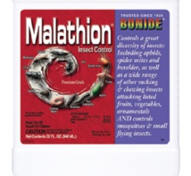 Photo d'illustration Photo d'illustration