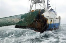 Pêche: la France rend sa copie sur l'utilisation des fonds européens Pêche: la France rend sa copie sur l'utilisation des fonds européens