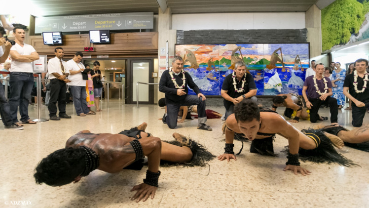 NDZ MAX - Synergence