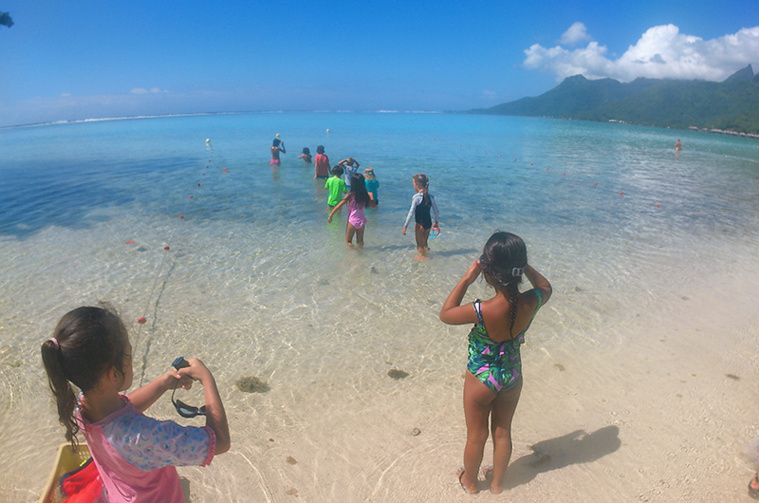 Nager en mer en toute sécurité Nager en mer en toute sécurité